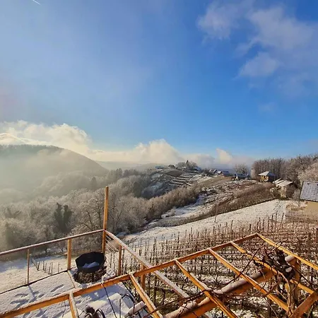 In Kranjska Krain 42906 Holiday home *