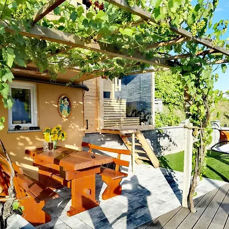 In Kranjska Krain 42906 Tatil Evi Mirna