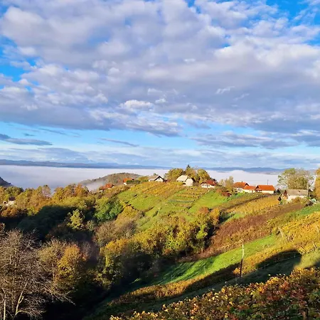 In Kranjska Krain 42906 Tatil Evi
