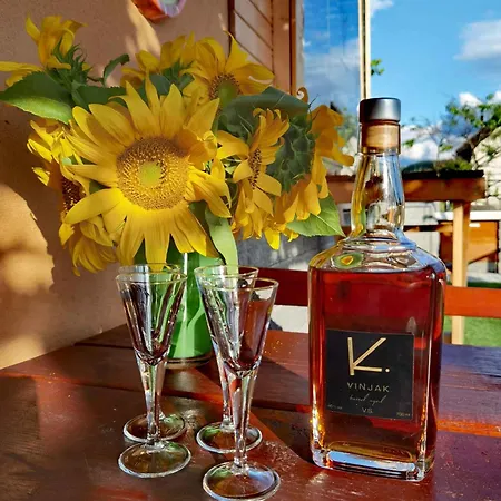 In Kranjska Krain 42906 Holiday home *